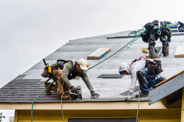 Professional Storm Damage Roof Repair technician working in Balsam, NC